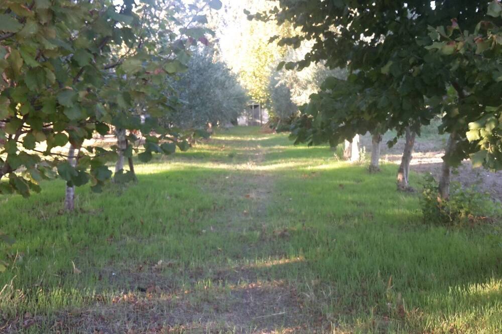 Photo of Outdoor in Benevento