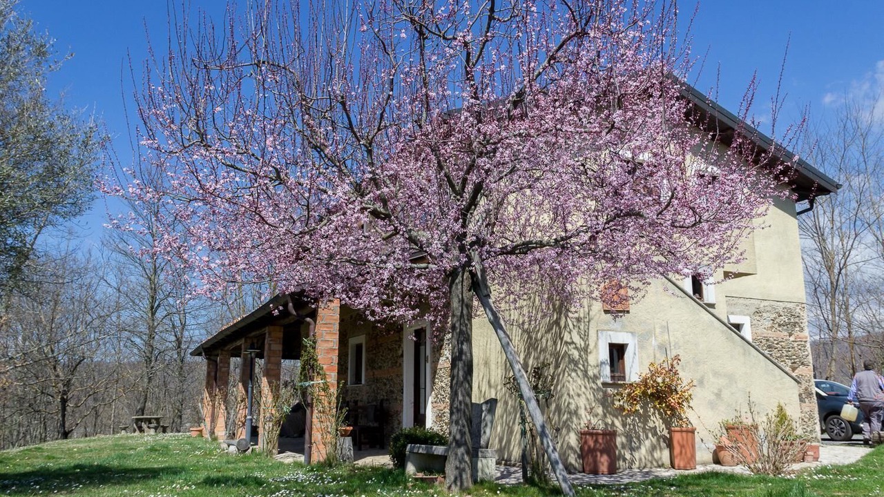 Photo of Outdoor in Soveria Mannelli