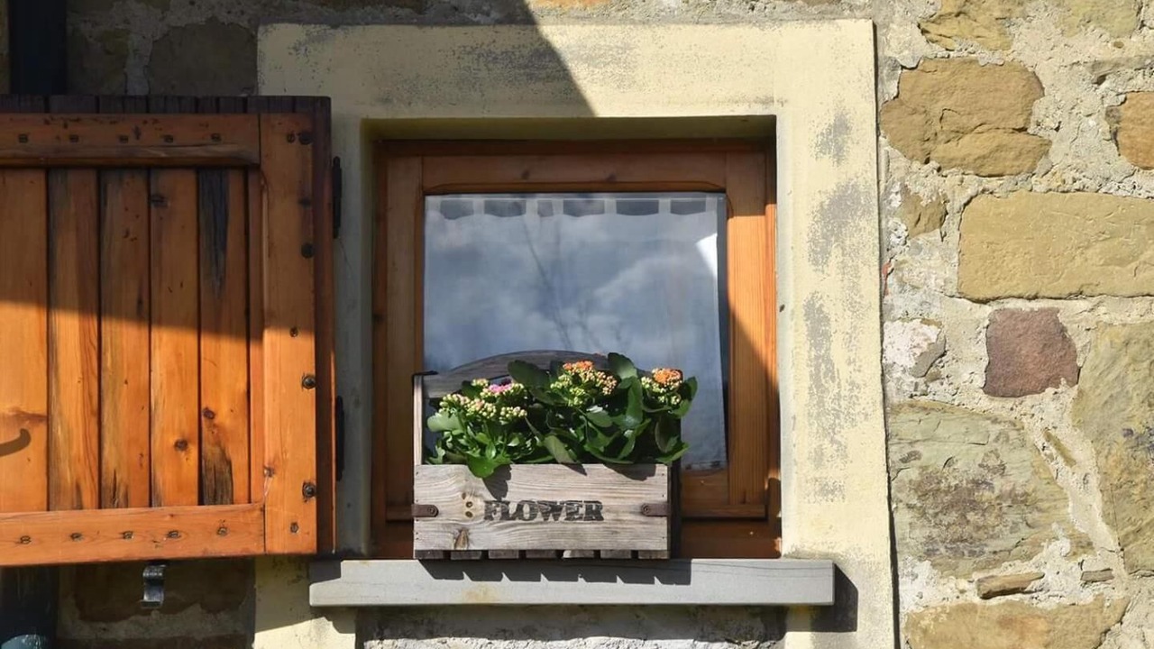 Photo of Outdoor in Arezzo