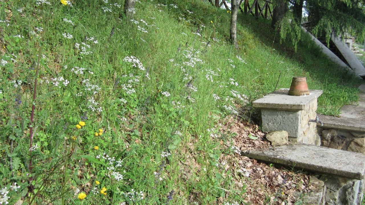 Photo of Outdoor in Arezzo