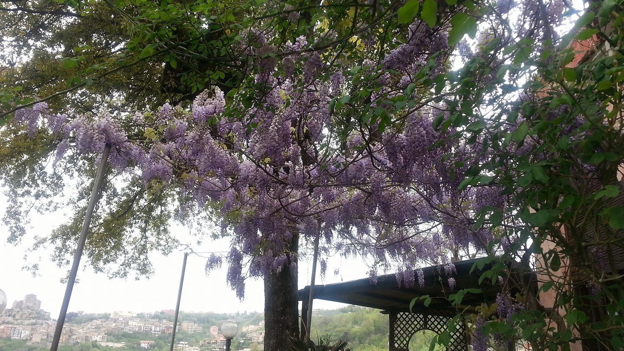Photo of Outdoor in Subiaco