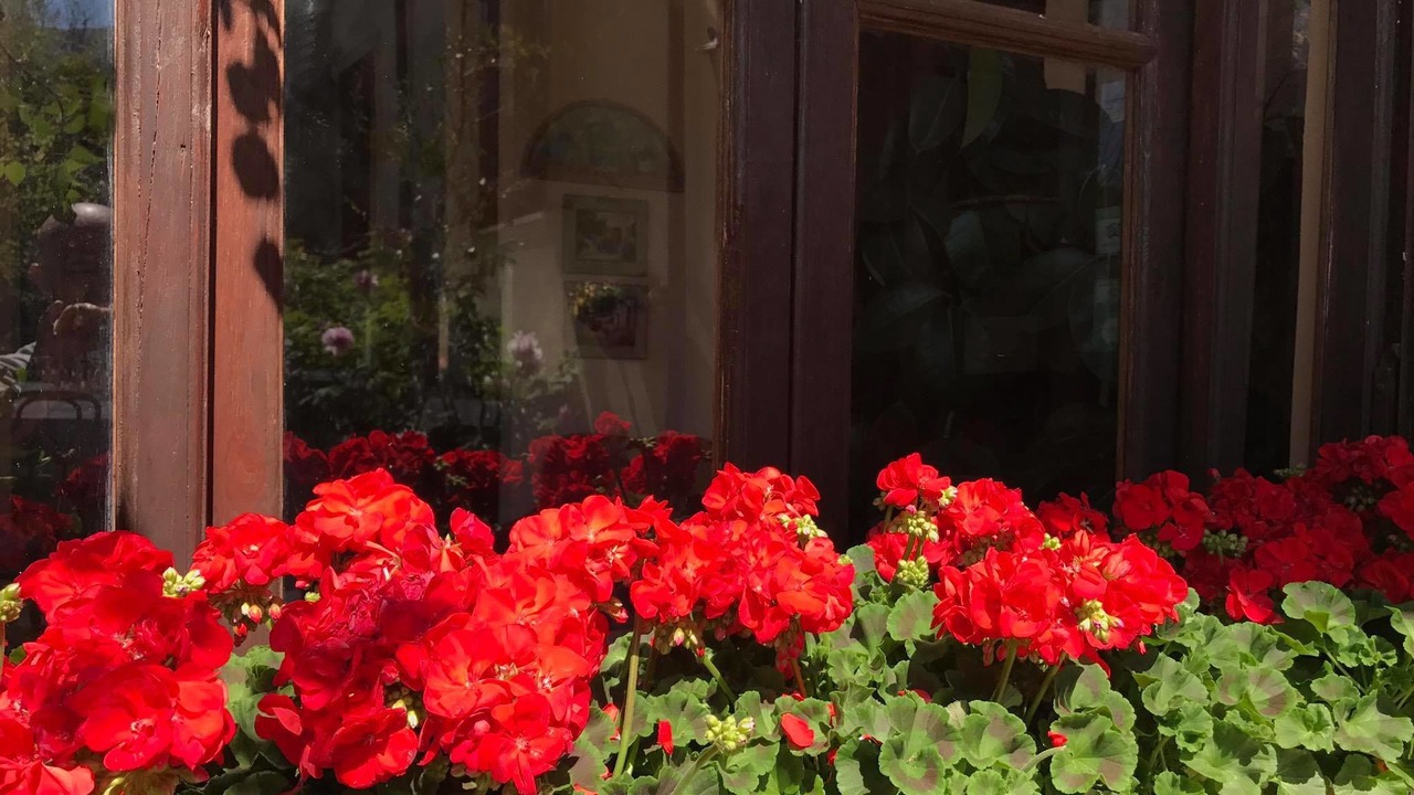 Photo of Outdoor in Subiaco