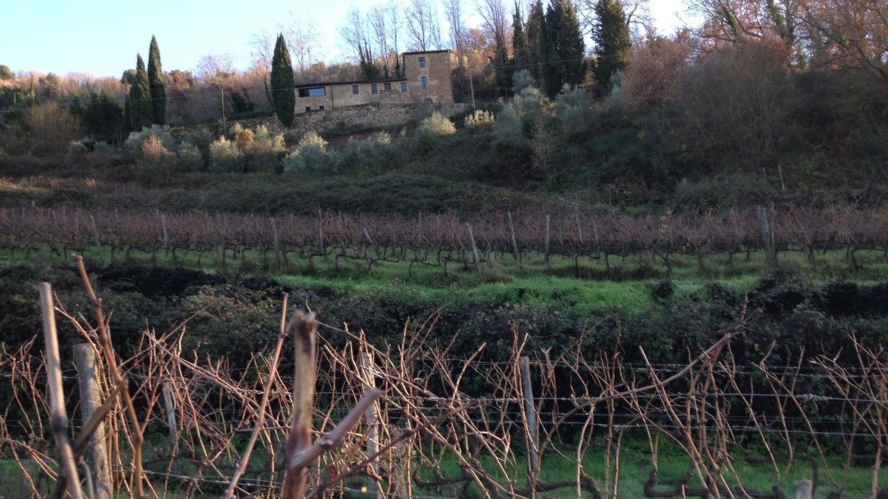 Photo of Outdoor in Montalcino