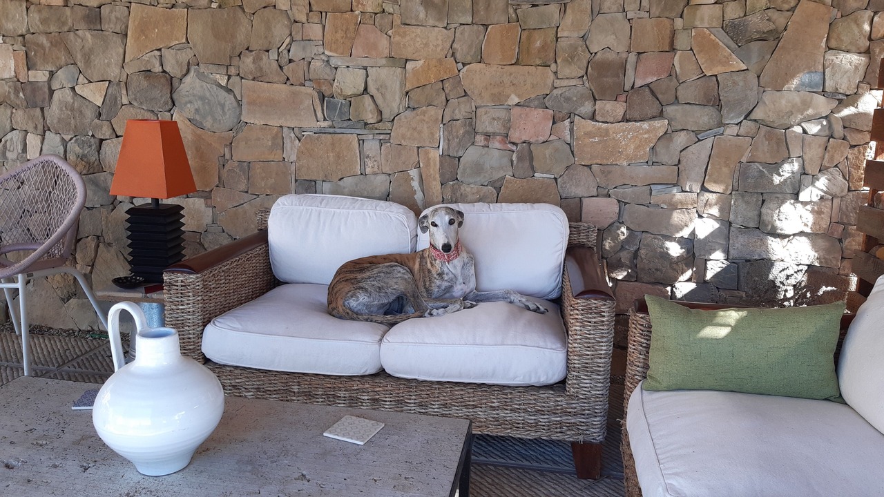 Photo of Patio Balcony in Montalcino