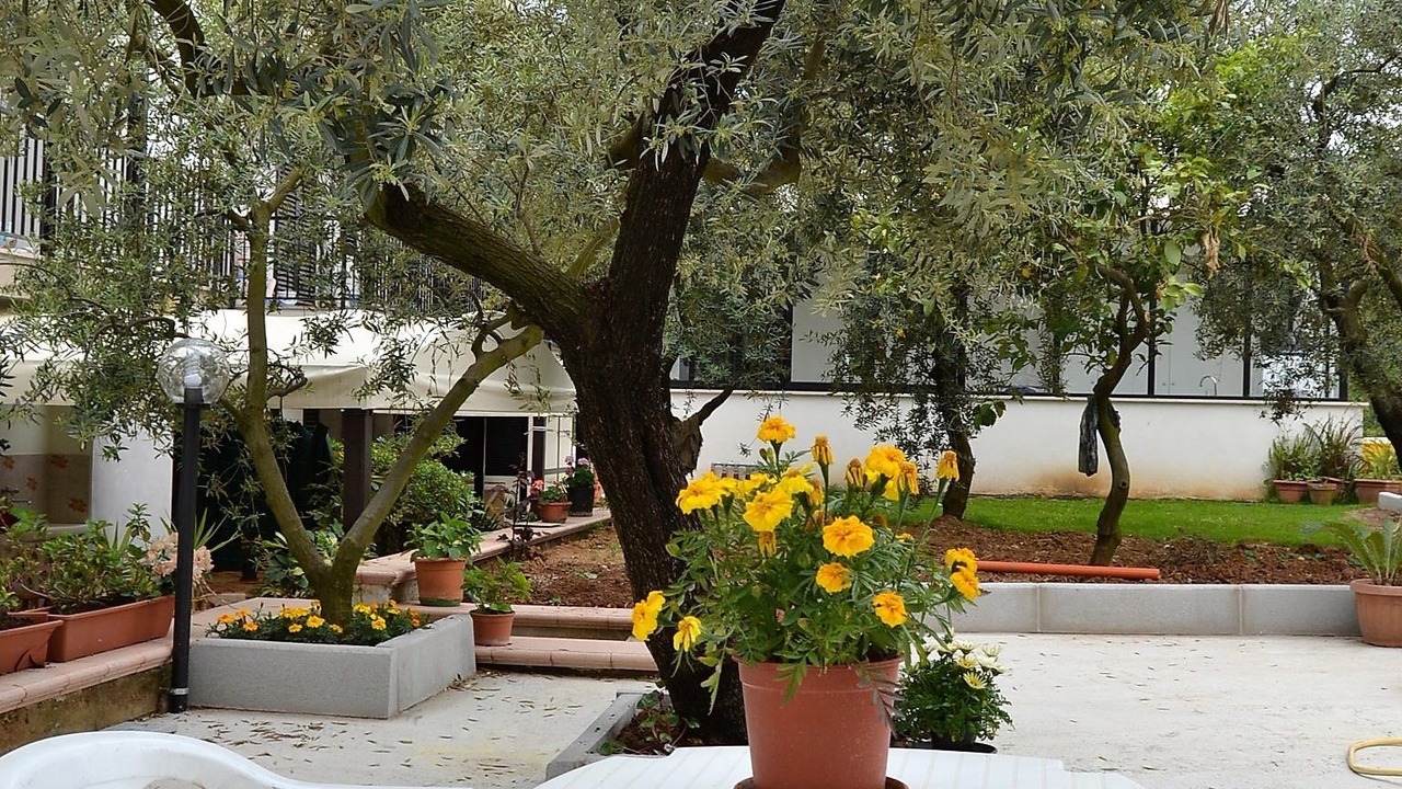 Photo of Patio Balcony in Gianola