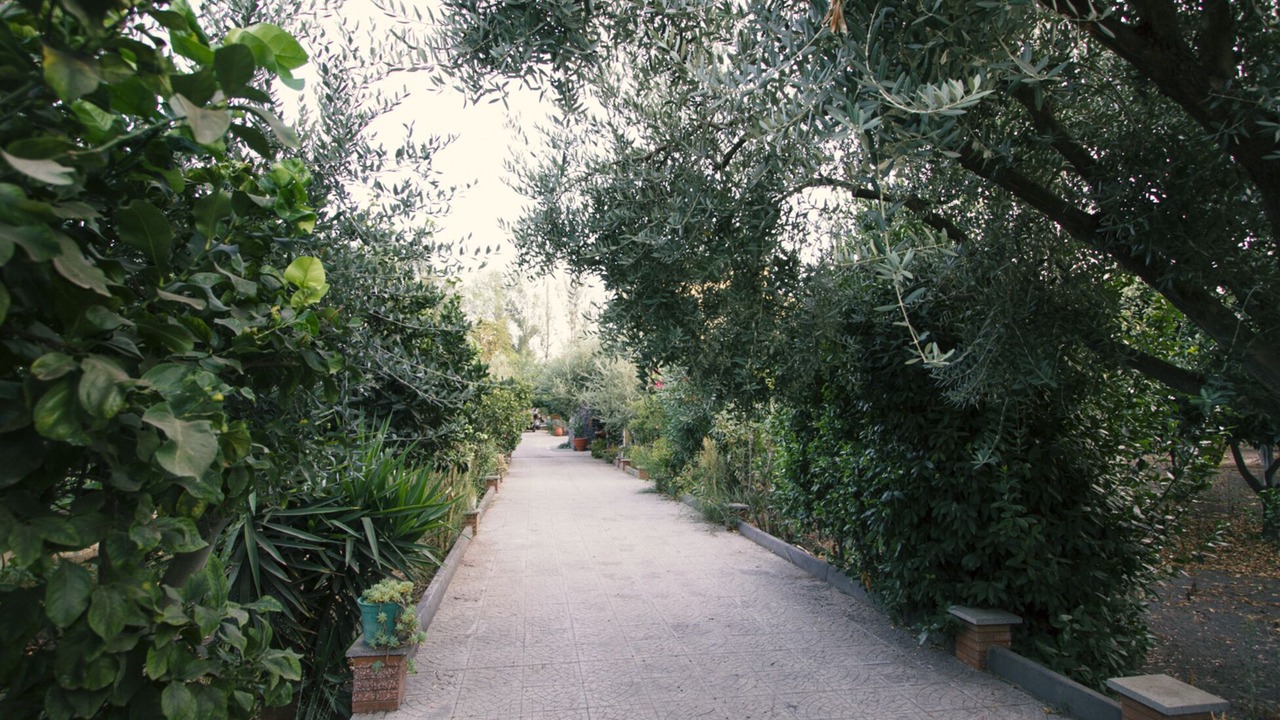 Photo of Outdoor in San Giuseppe Vesuviano