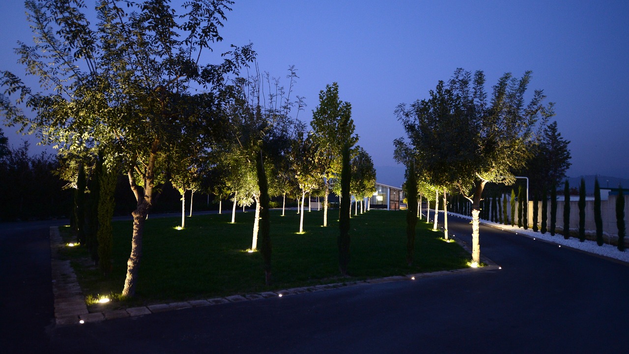 Photo of Outdoor in Saviano