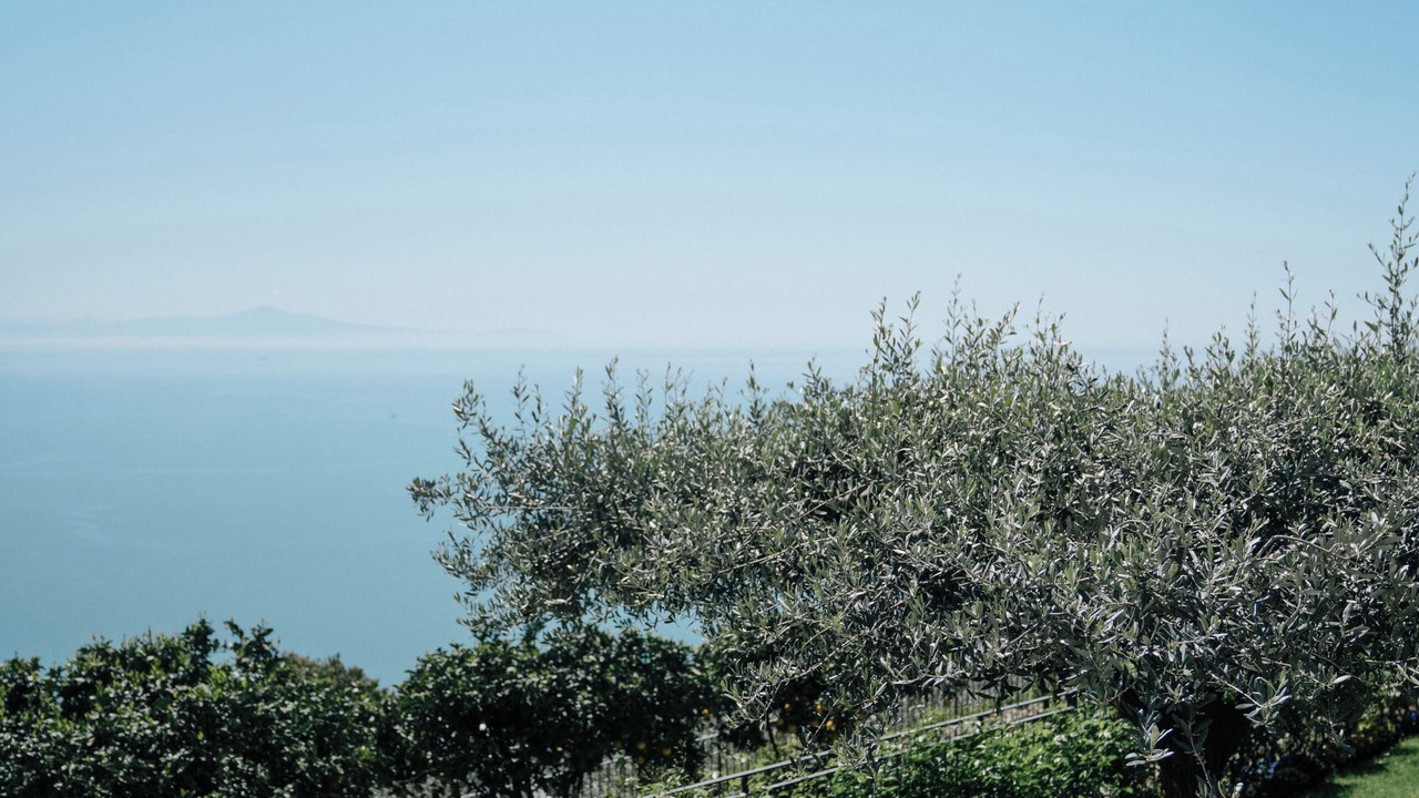 Photo of Others in Ravello