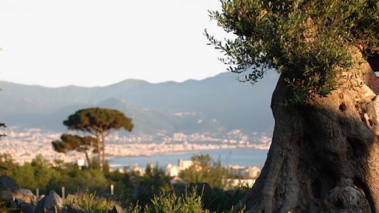 Photo of Others in Torre del Greco