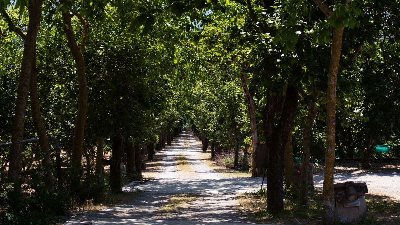 Photo of Others in San Cipriano Picentino