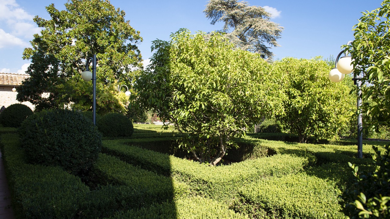 Photo of Outdoor in Castelnuovo Berardenga