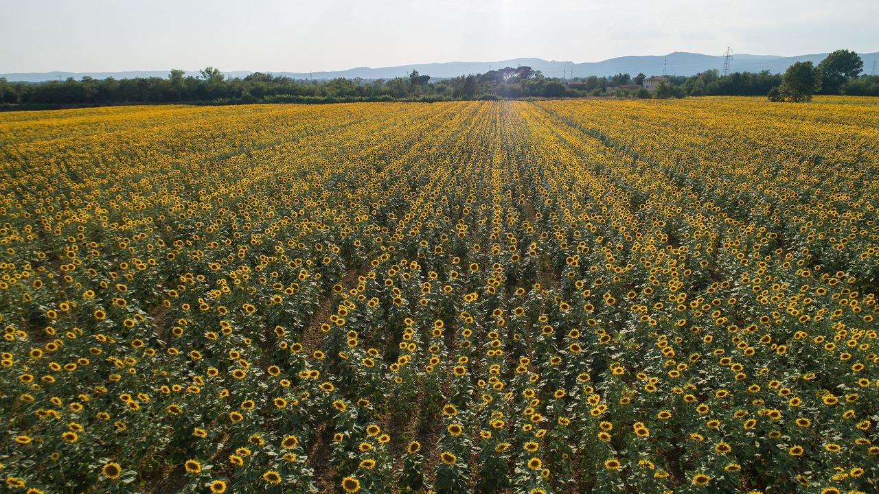 Photo of Outdoor in Pieve al Bagnoro