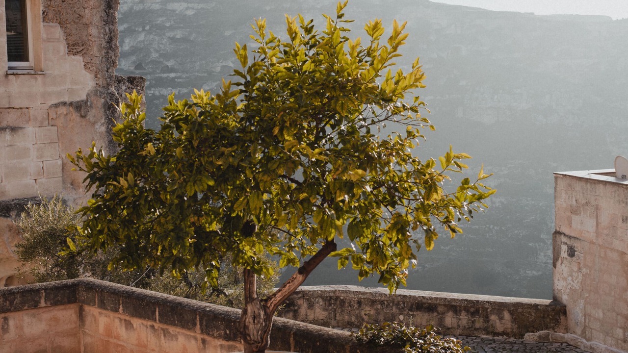 Photo of Outdoor in Sasso Caveoso