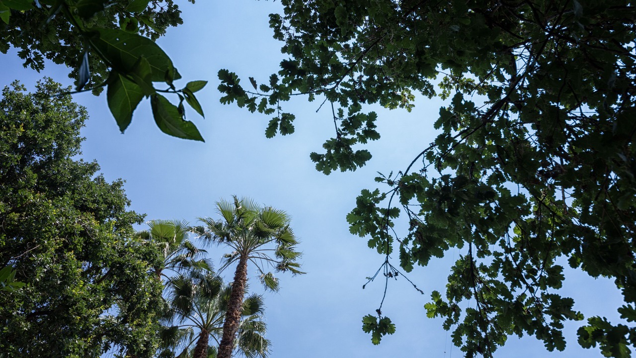 Photo of Outdoor in Licola