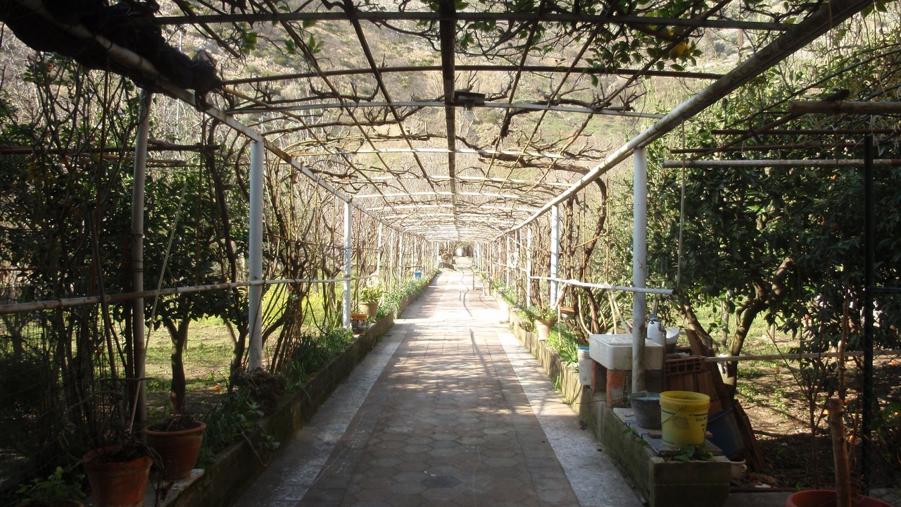 Photo of Outdoor in Castel San Giorgio