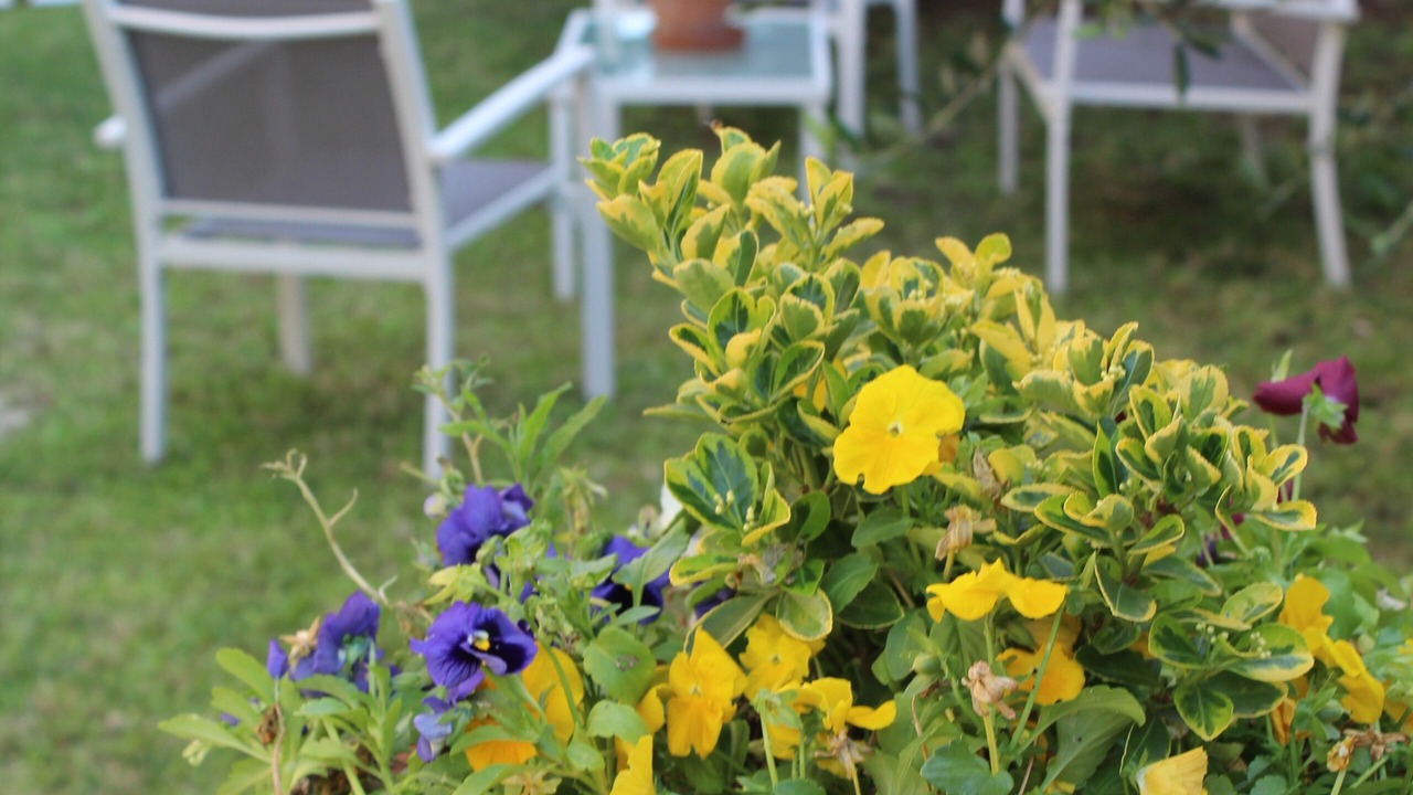 Photo of Outdoor in Rapolano Terme