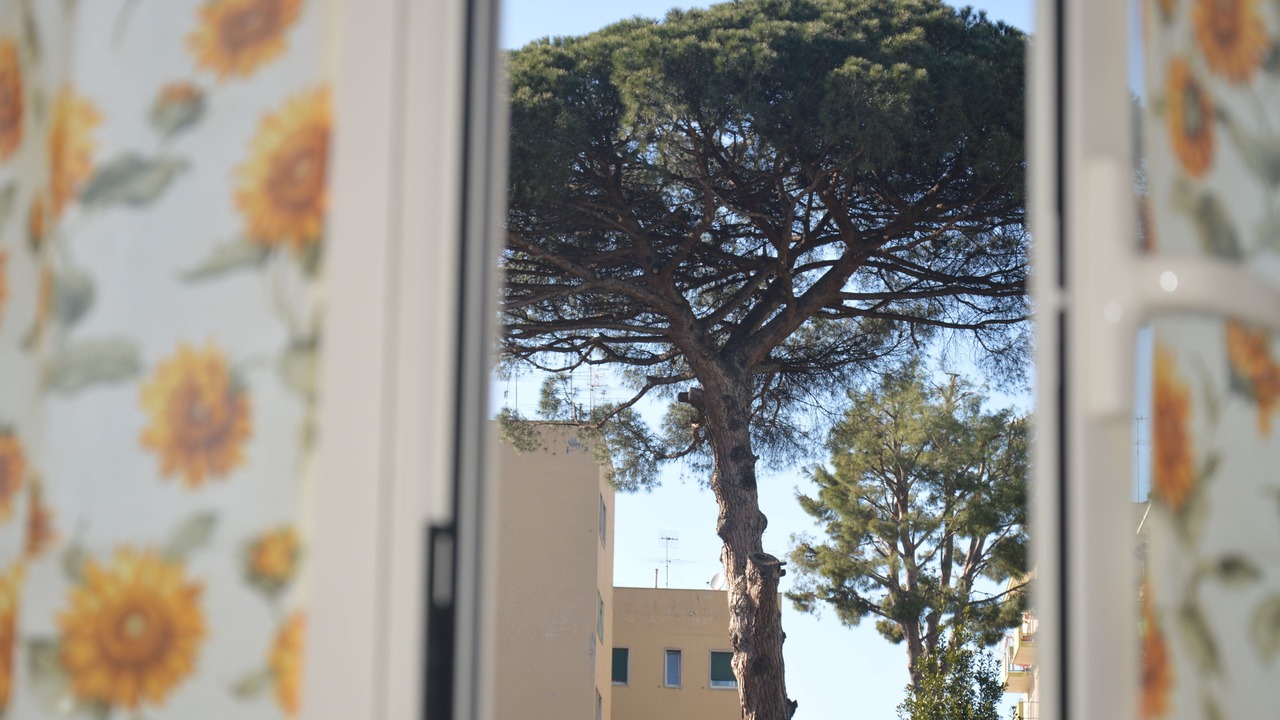Photo of Bedroom in Arenella