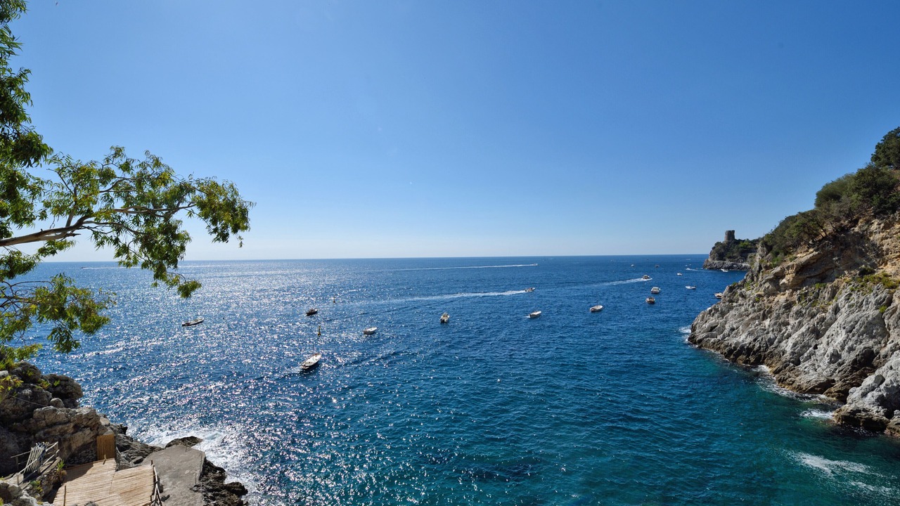 Photo of Others in Furore