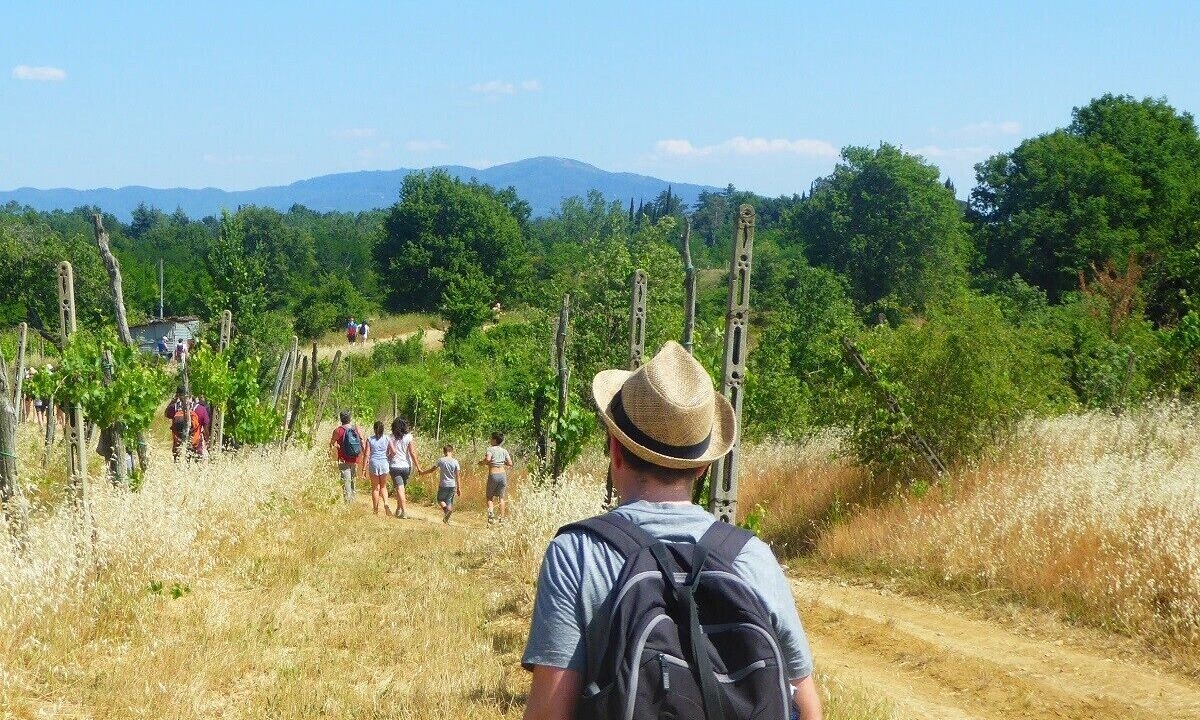 Photo of Outdoor in Castiglion Fibocchi