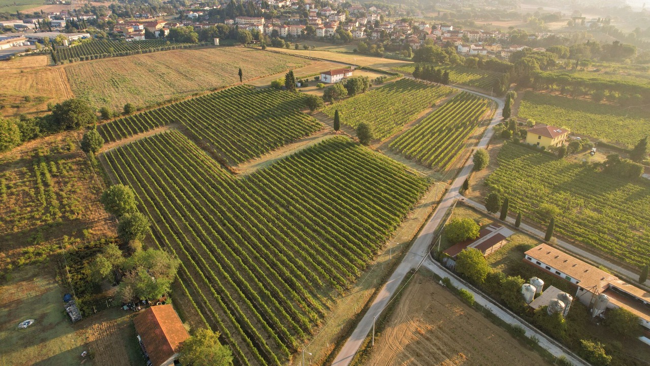 Photo of Outdoor in Castiglion Fibocchi