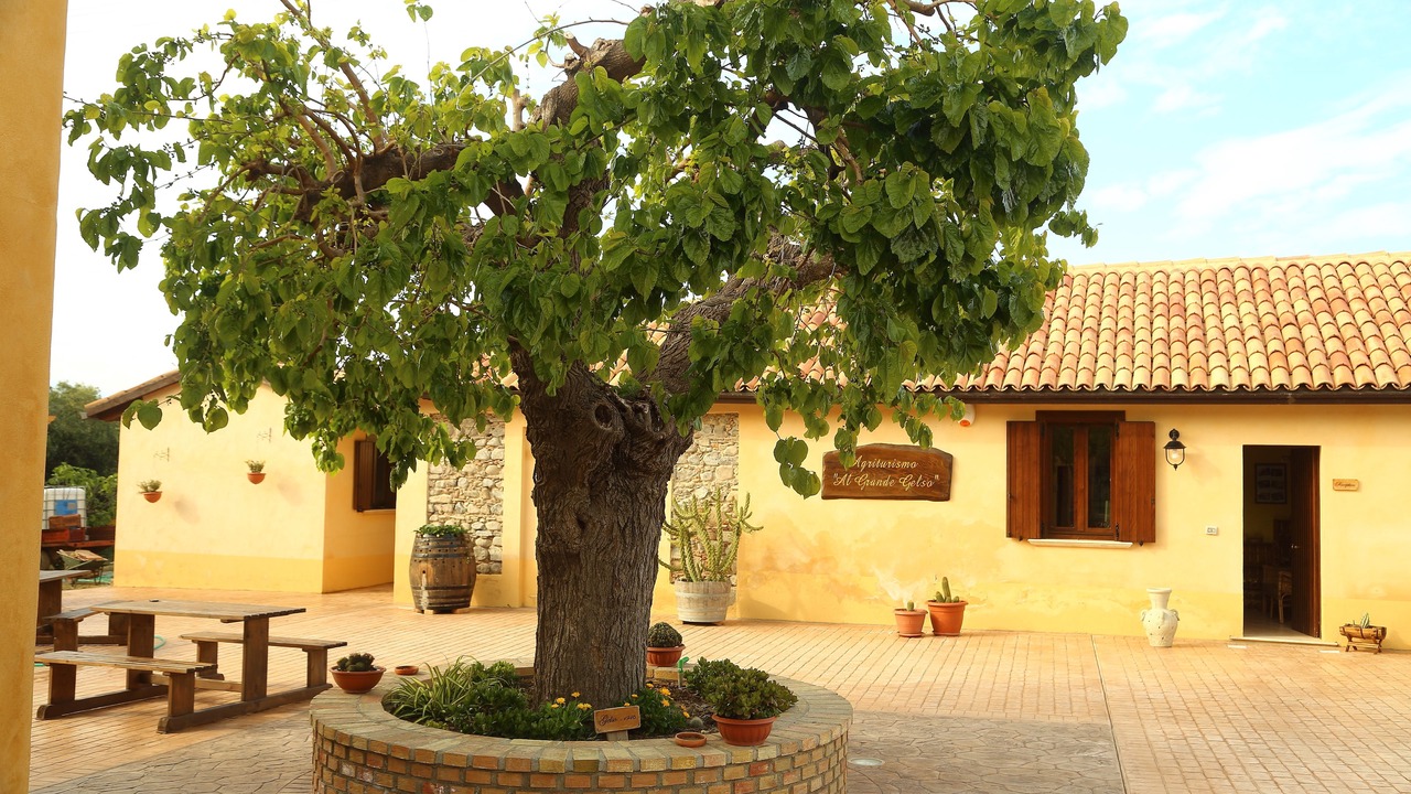 Photo of Outdoor in Cariati