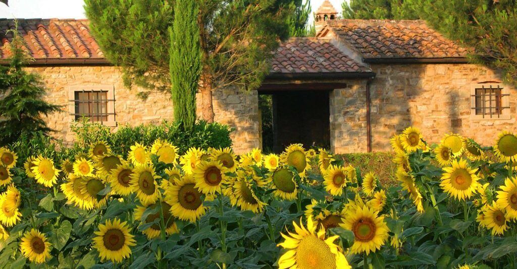 Photo of Outdoor in Camucia