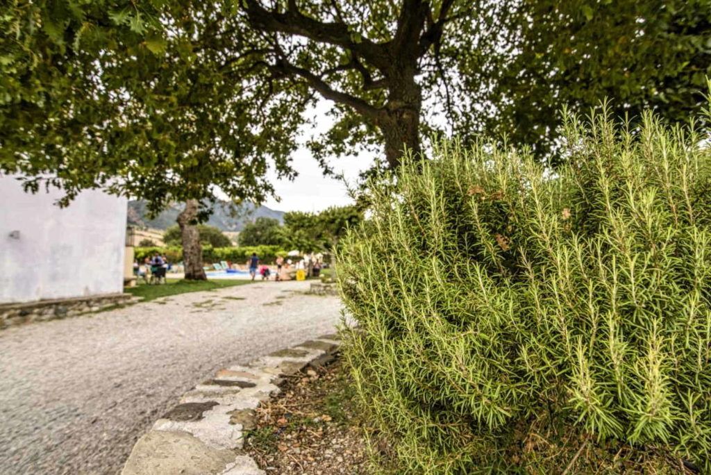 Photo of Outdoor in Gerace
