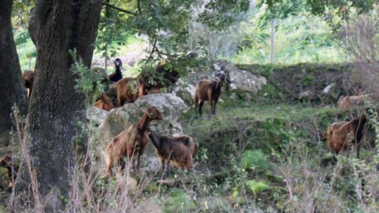 Photo of Outdoor in Gerace