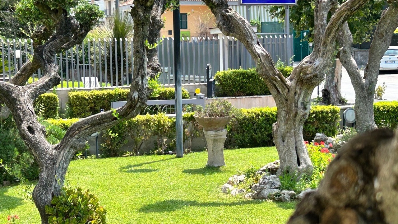 Photo of Outdoor in Tufino