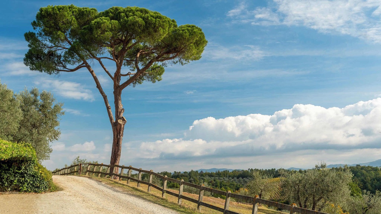 Photo of Outdoor in San Casciano in Val di Pesa