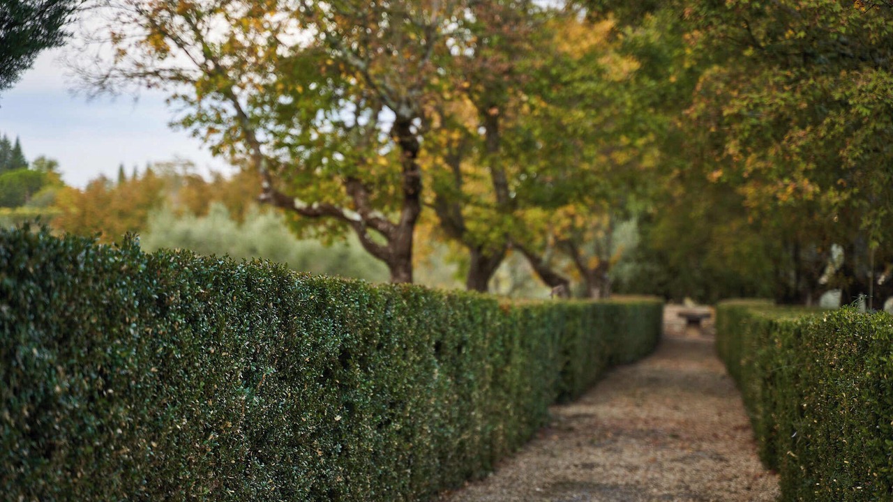 Photo of Outdoor in San Casciano in Val di Pesa