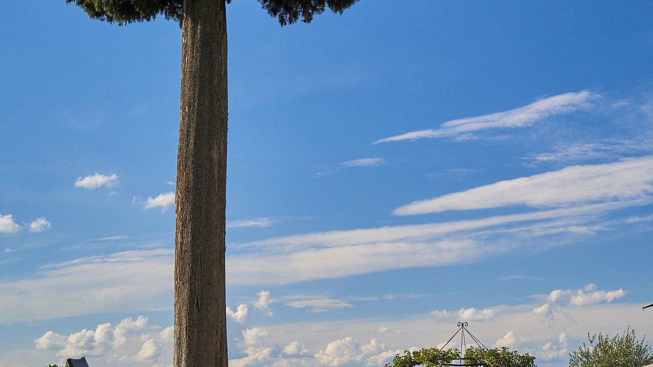 Photo of Outdoor in San Casciano in Val di Pesa