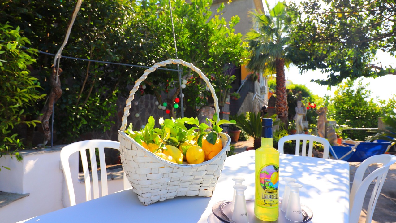 Photo of Outdoor in Priora