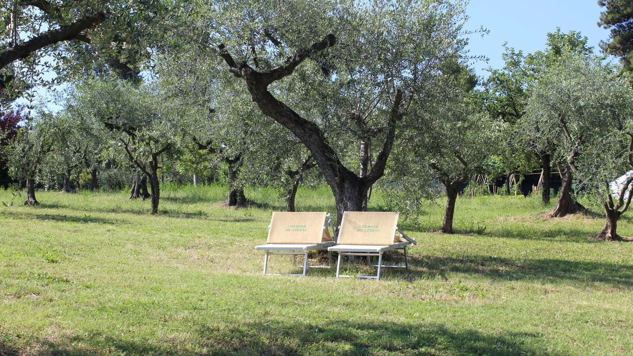 Photo of Outdoor in Saludecio