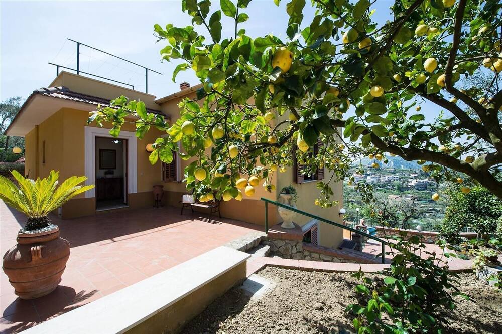 Photo of Outdoor in Schiazzano