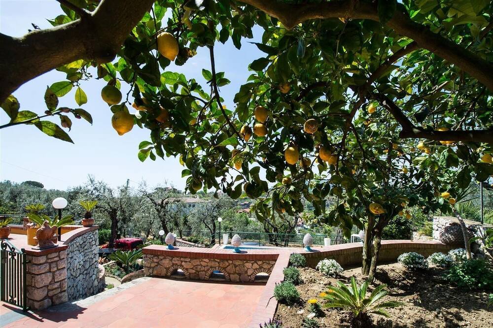 Photo of Outdoor in Schiazzano