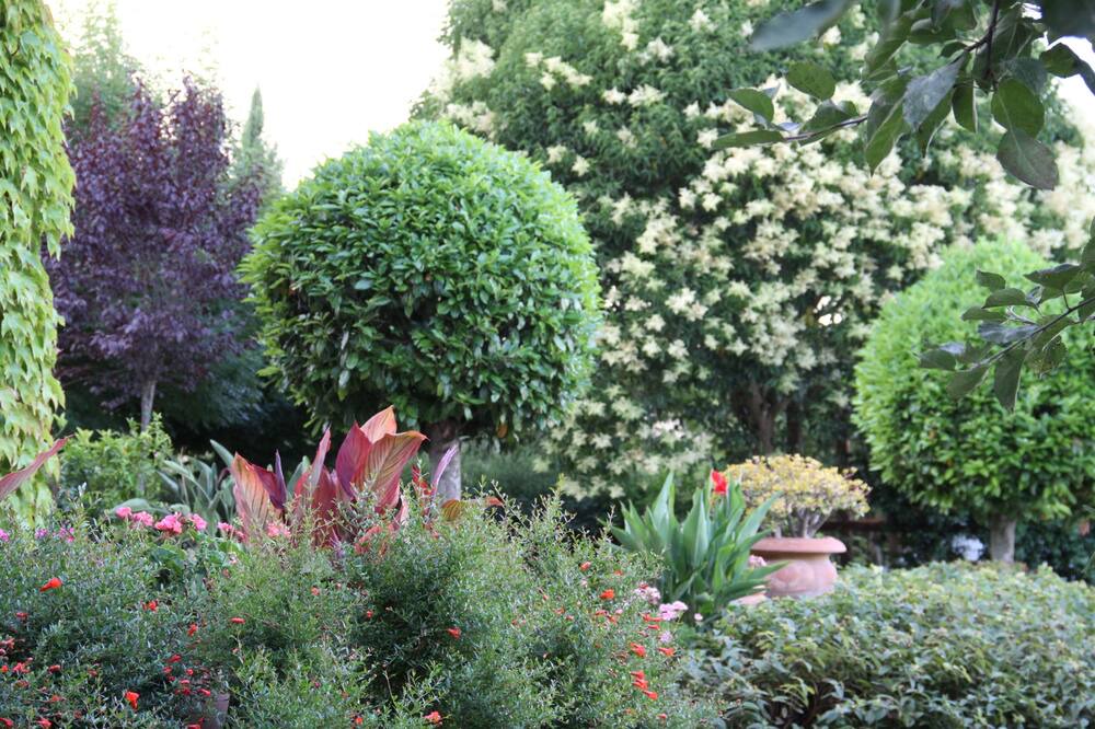 Photo of Outdoor in Piana