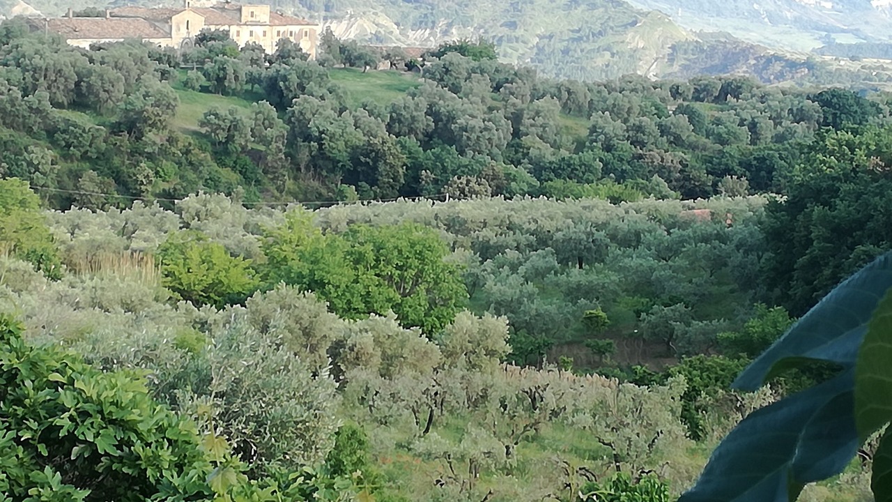 Photo of Outdoor in Caccuri