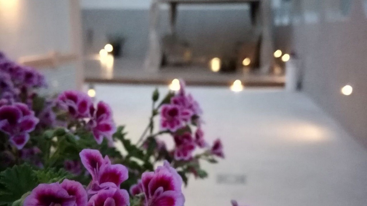 Photo of Outdoor in Naples