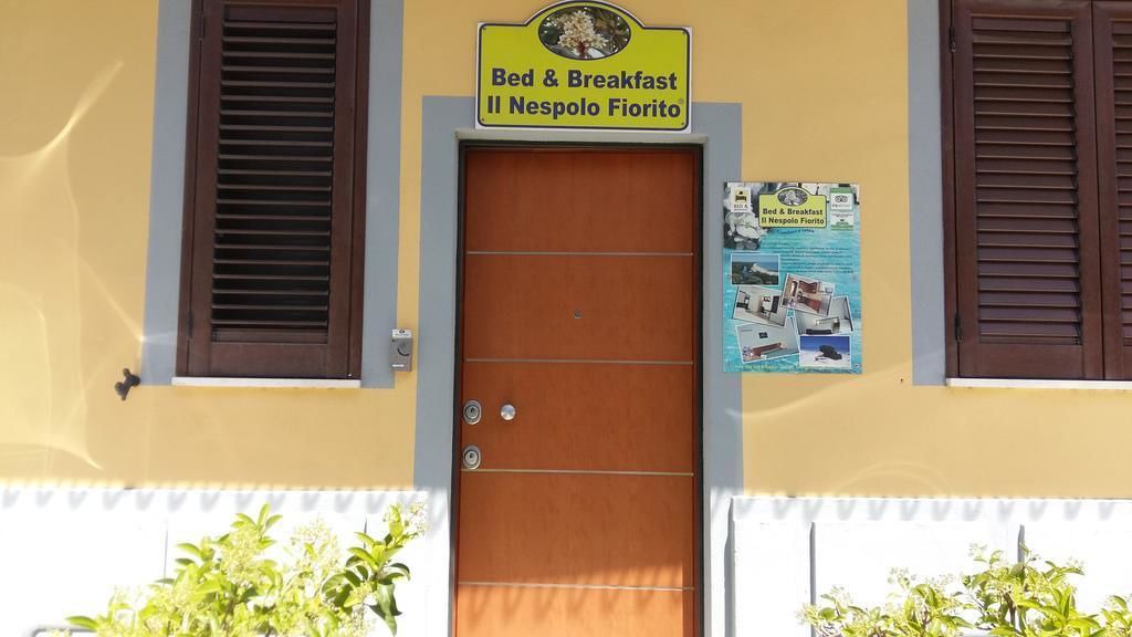 Photo of Others in Orosei