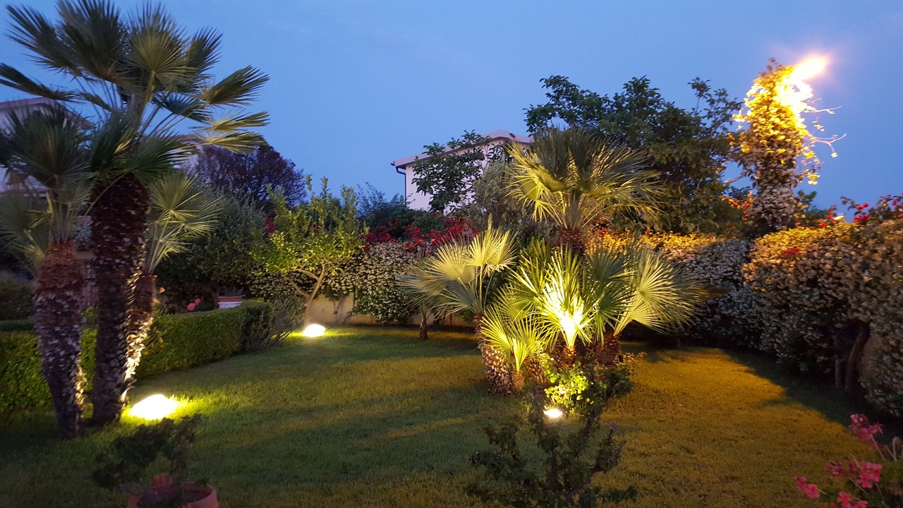 Photo of Outdoor in Scalea