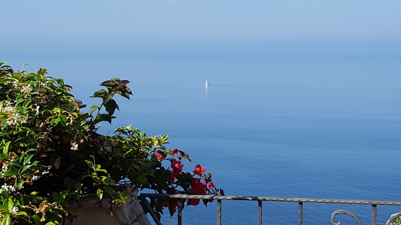 Photo of Others in Scalea