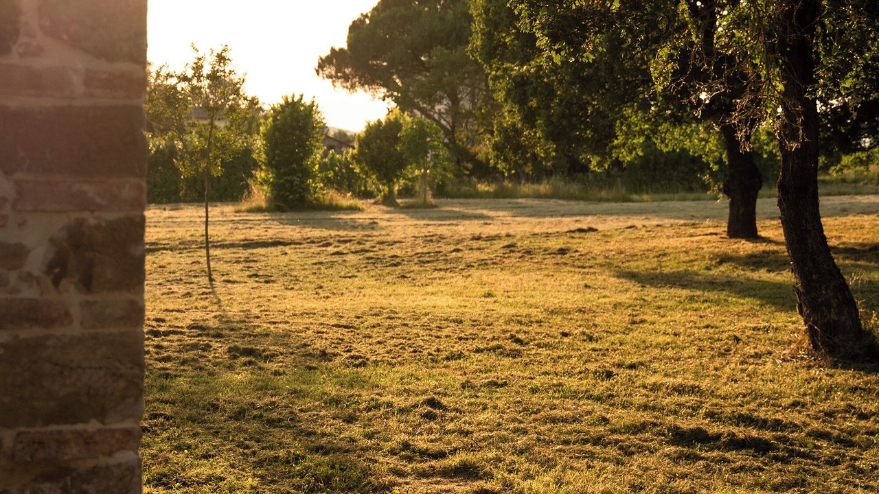 Photo of Outdoor in Ponte Buriano