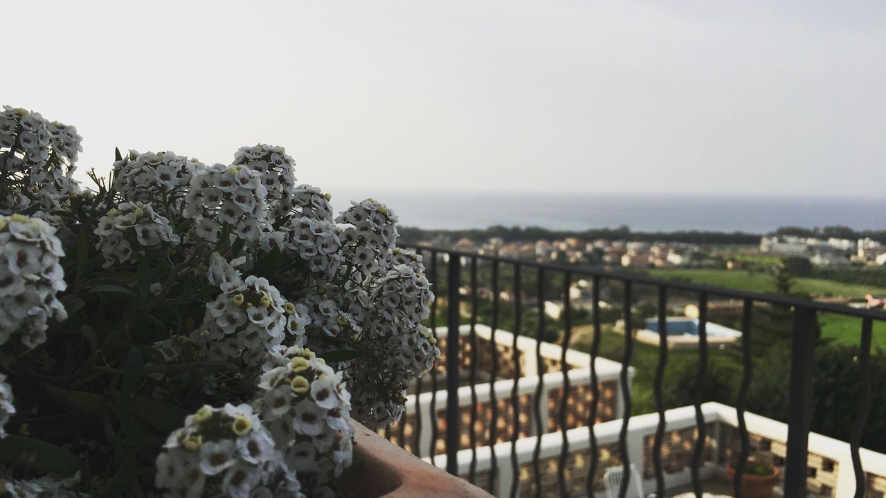 Photo of Outdoor in Catanzaro Lido