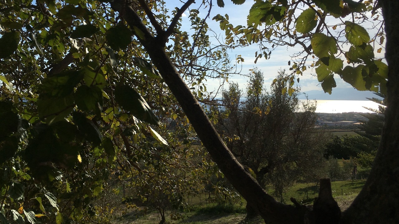 Photo of Outdoor in Catanzaro Lido