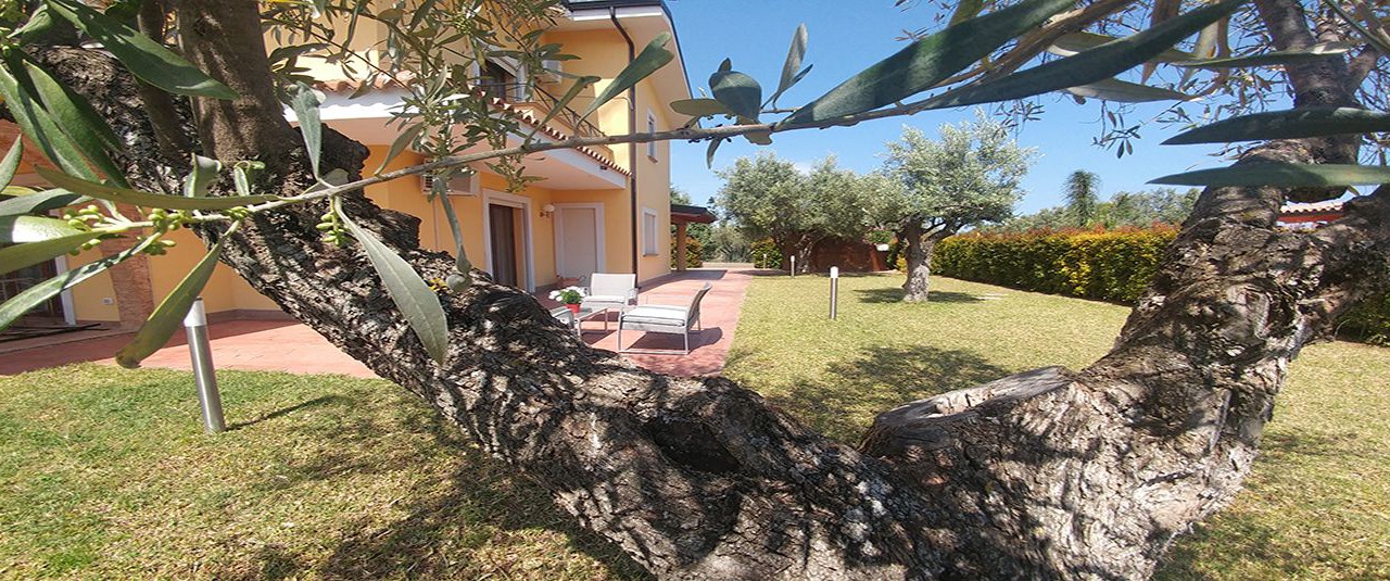 Photo of Outdoor in Squillace