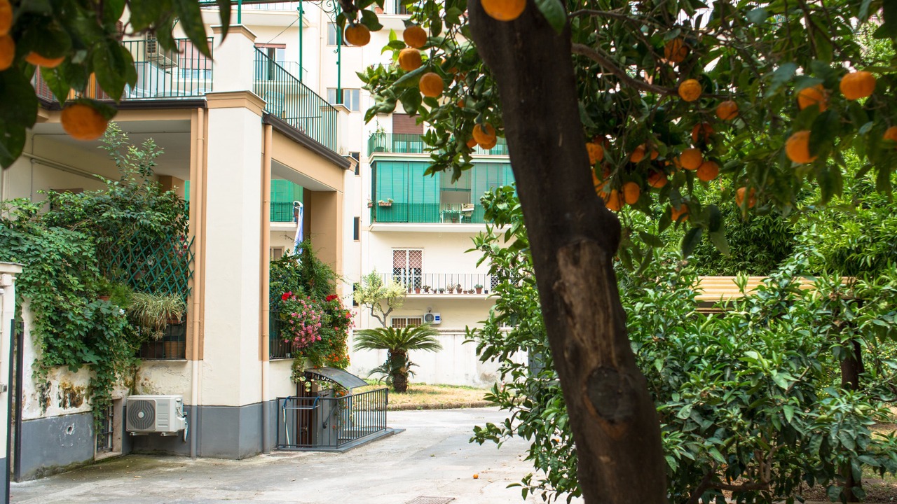 Photo of Outdoor in Portici