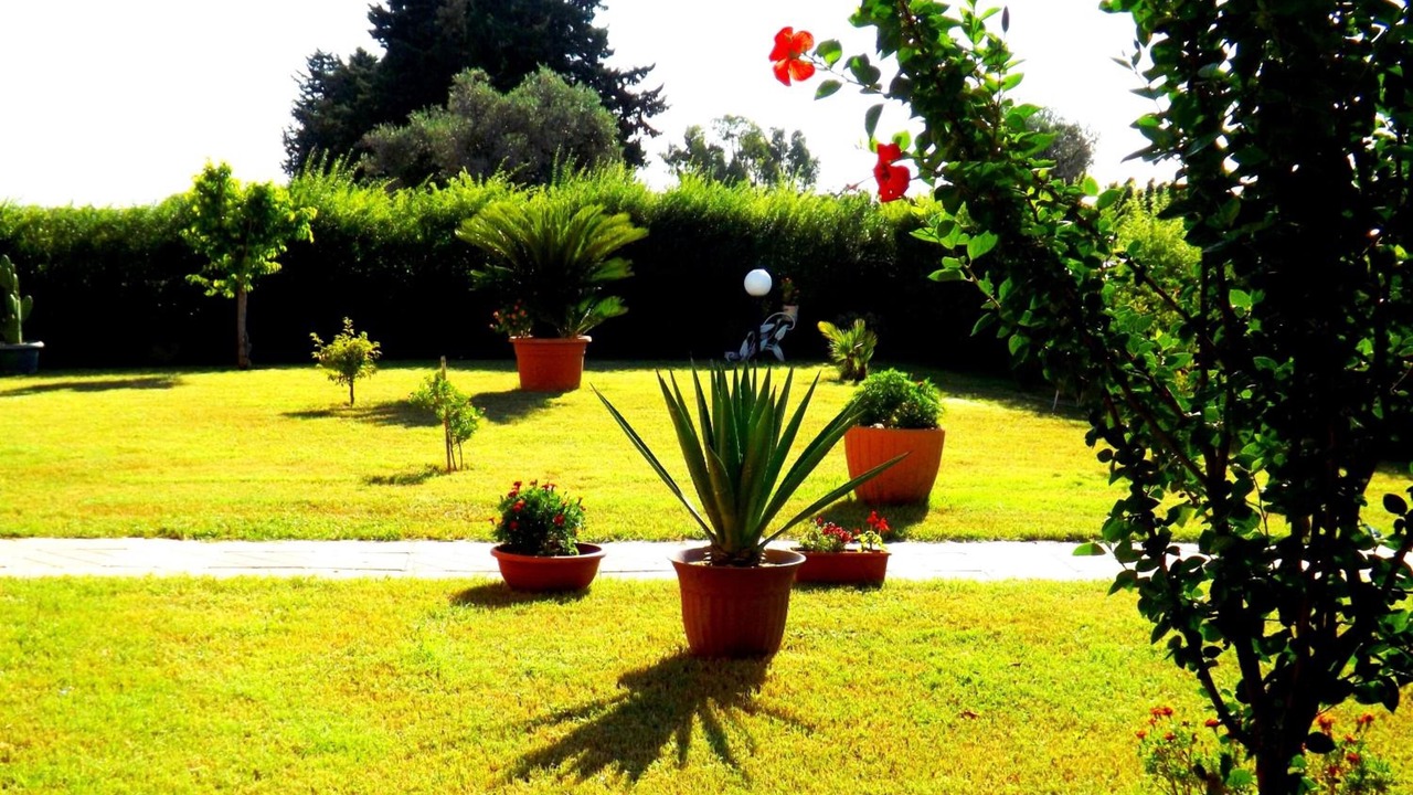Photo of Outdoor in Botricello