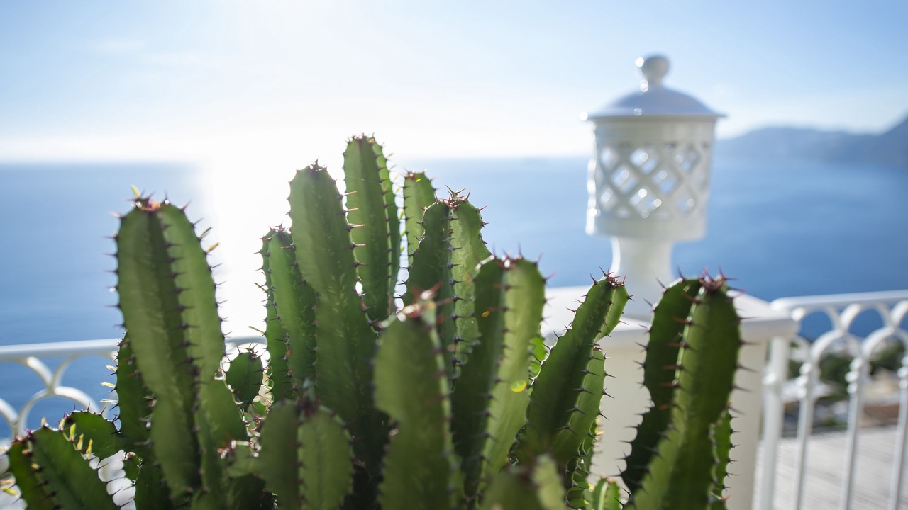 Photo of Outdoor in Praiano