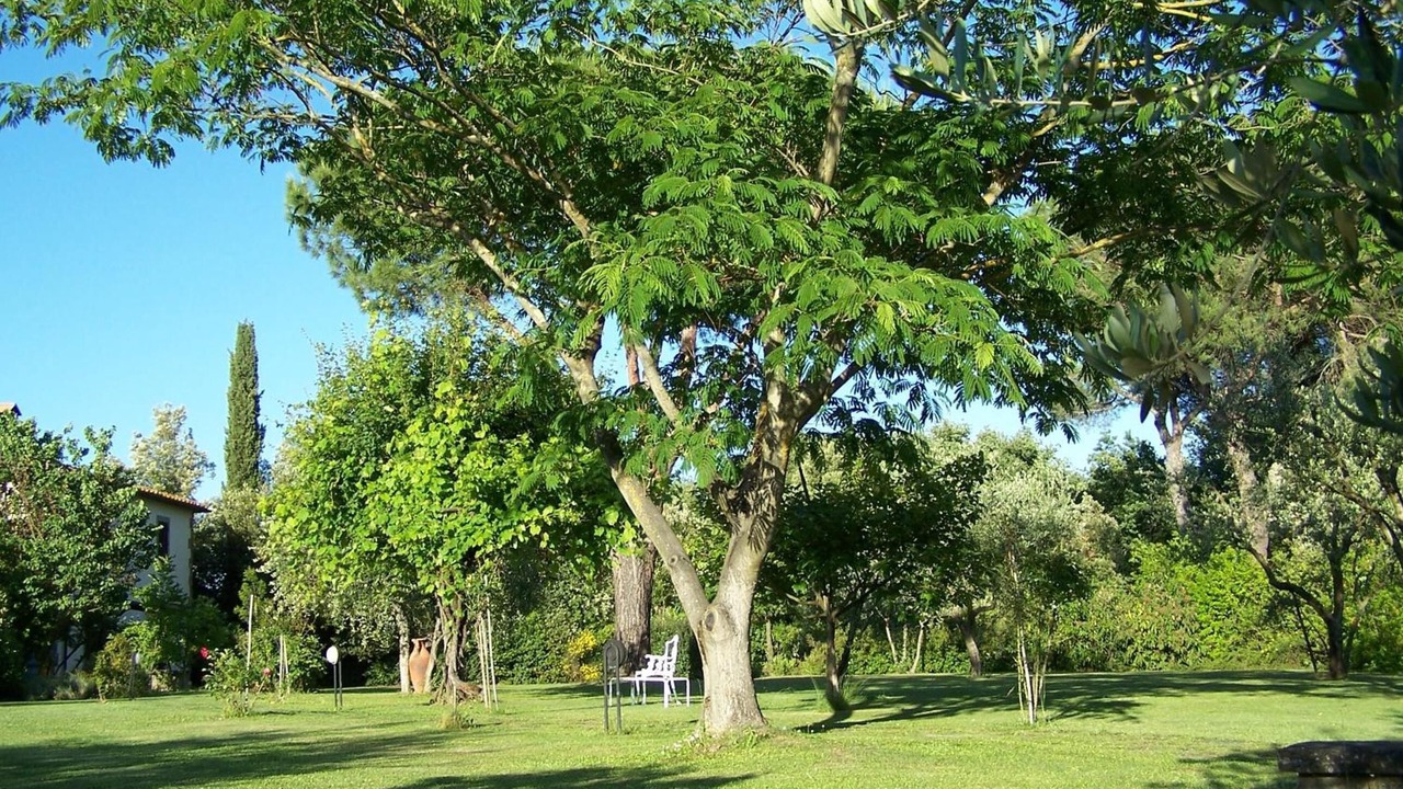 Photo of Outdoor in Ponte Buriano